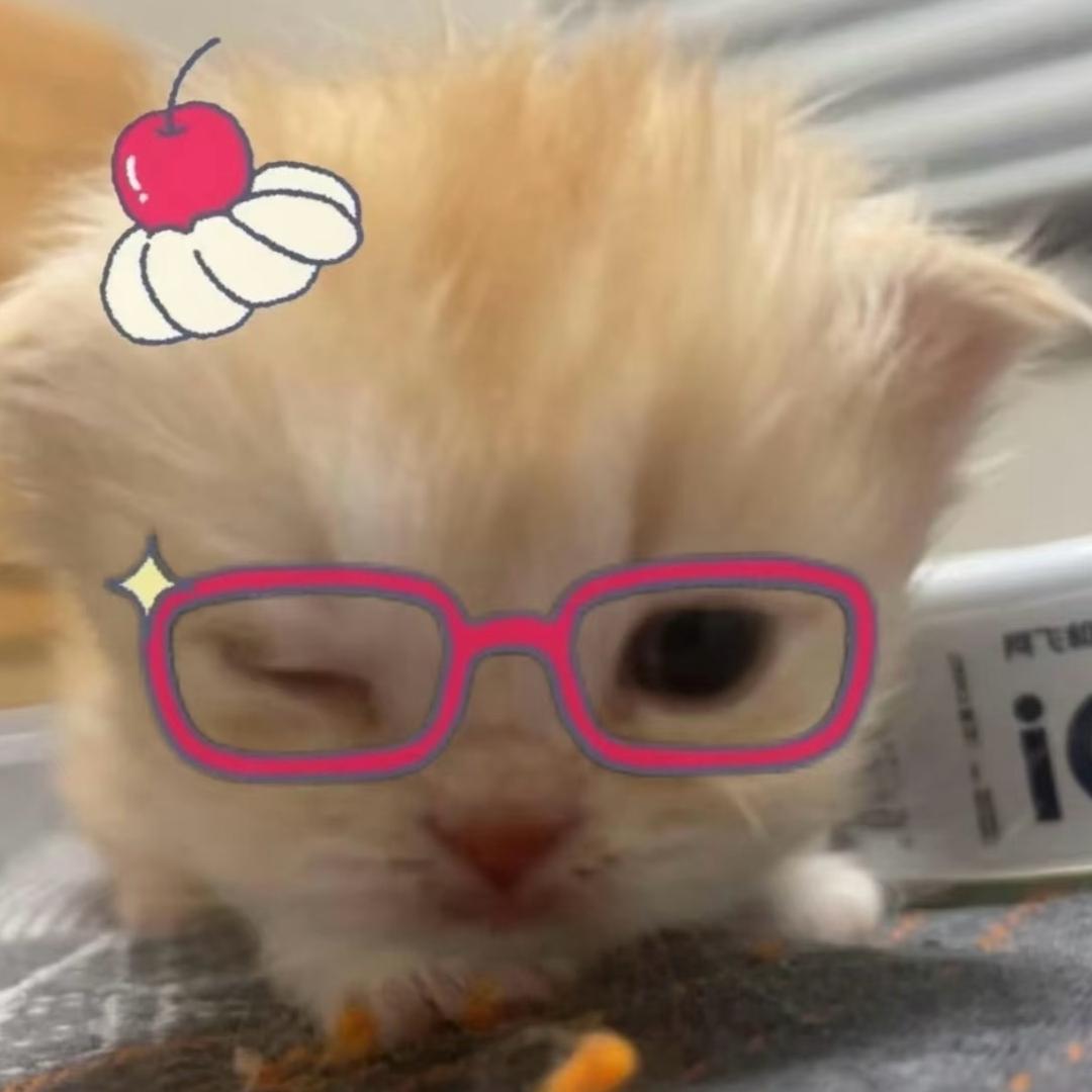 栗栗卷