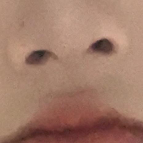 朱猪（求推荐！