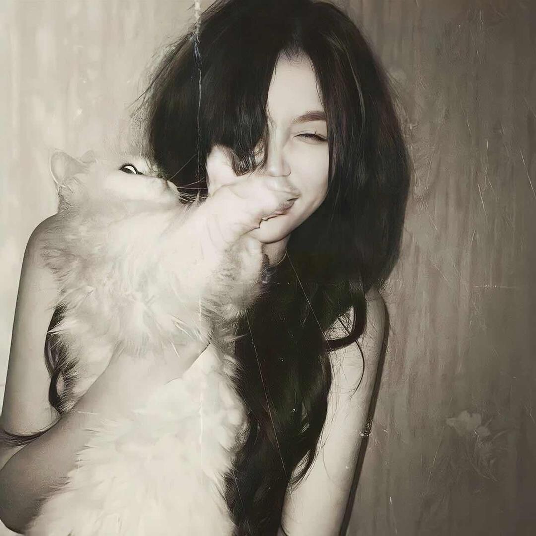 锦鲤.