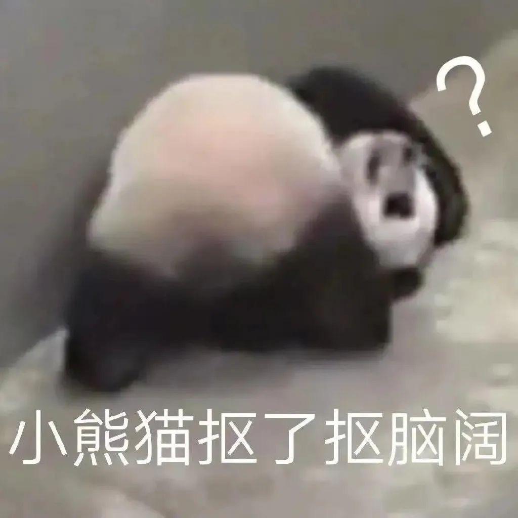 小彦还在打游戏