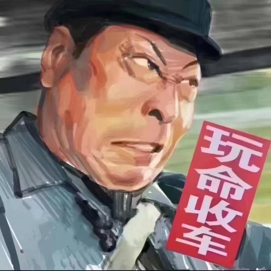 小黑爱玩车，二手车（淘车）