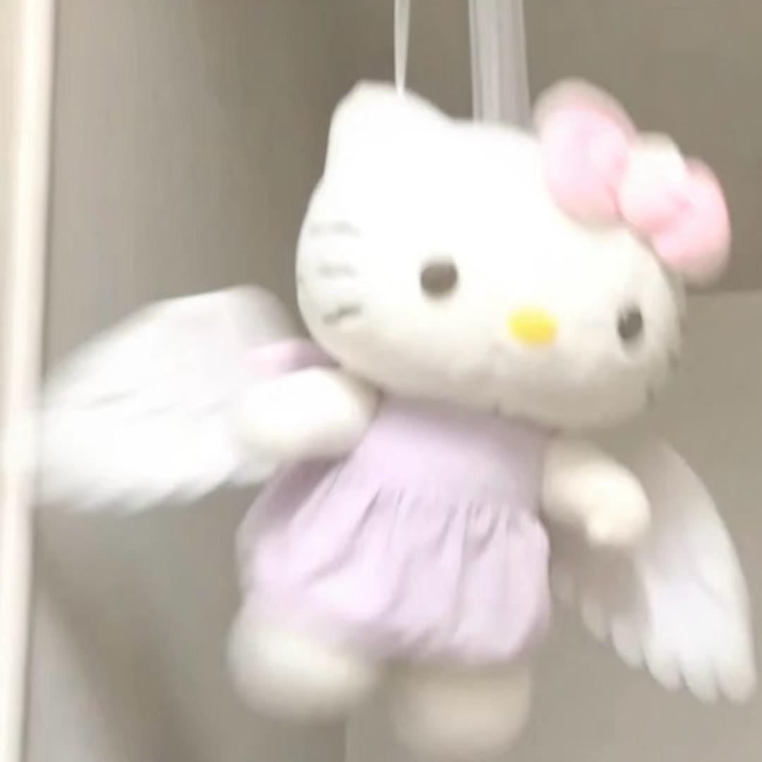 Kitty .