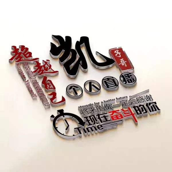 凯子哥，宝子哥团队