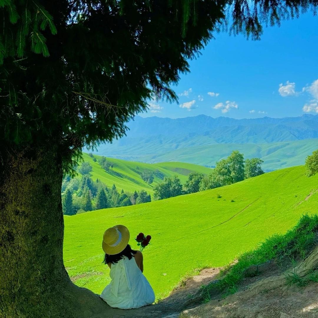 新疆苗苗 | 带你去旅行