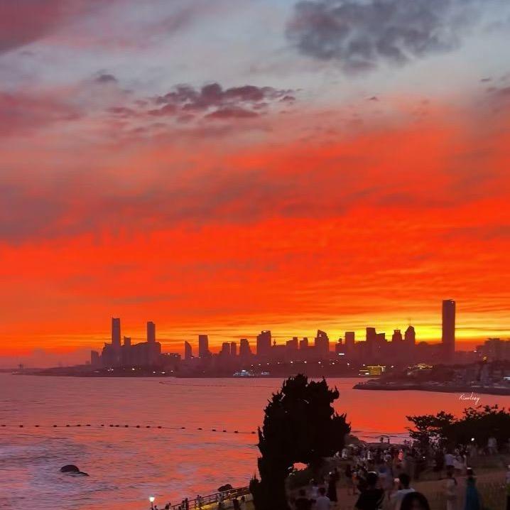 Sally-CPL国际物流平台