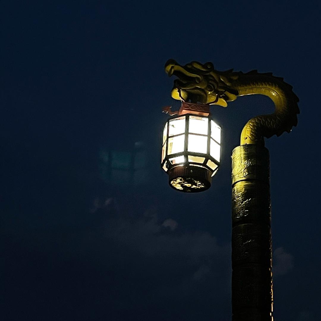 忘忧君