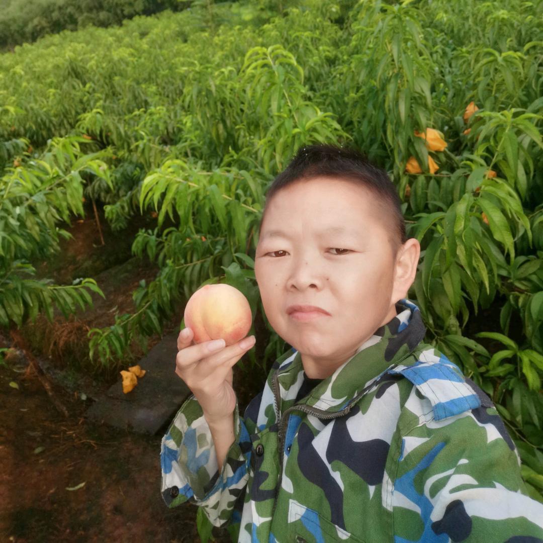 欢喜君君奉化水蜜桃