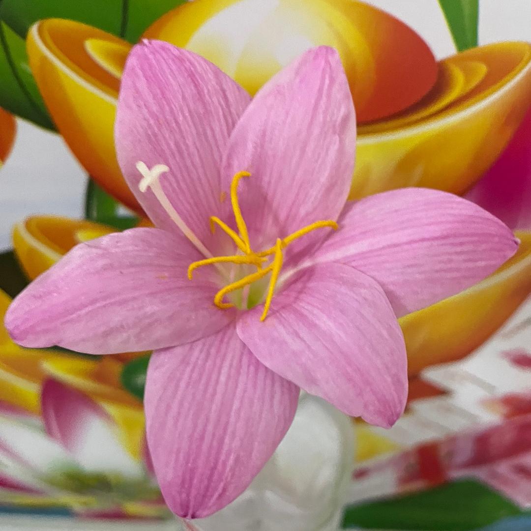 🌈龙🐲 ⁹⁰²