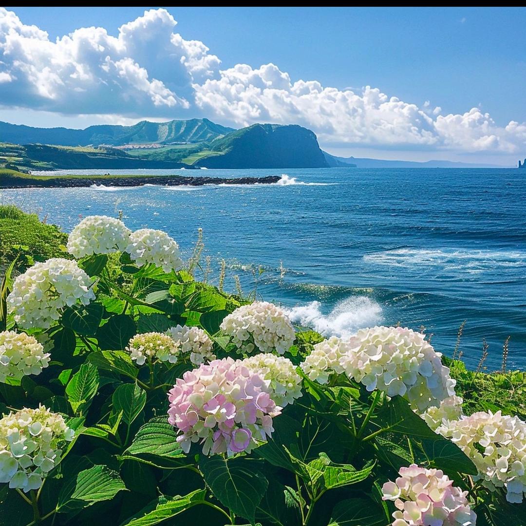 没烦恼的小树🌲