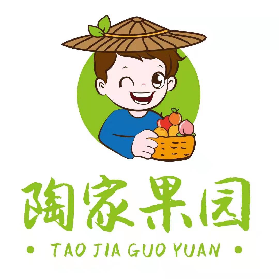 陶家果园的水果小店