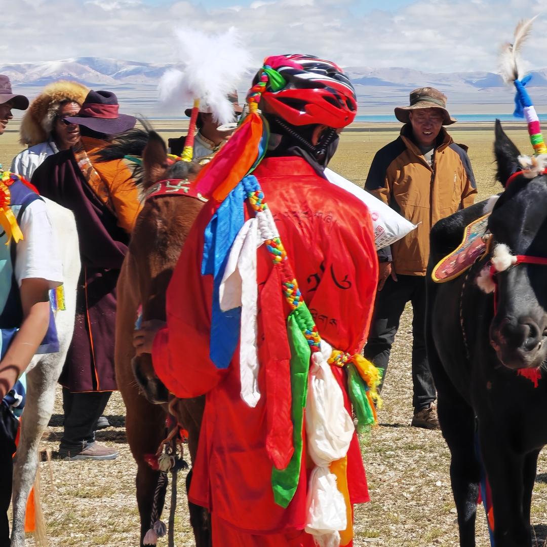 骏马～俱乐部🐎