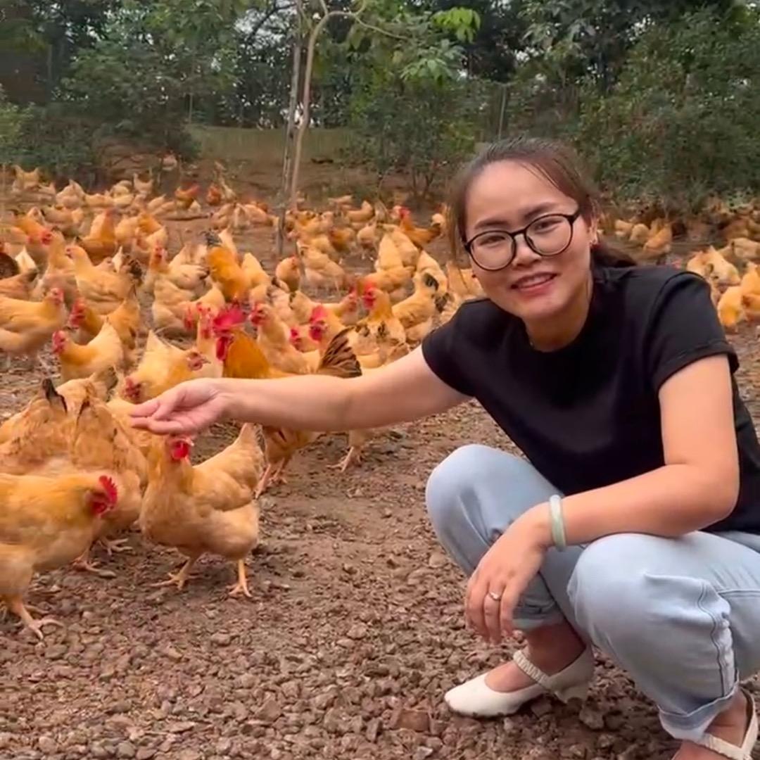 华仔土鸡店（大夫山店）