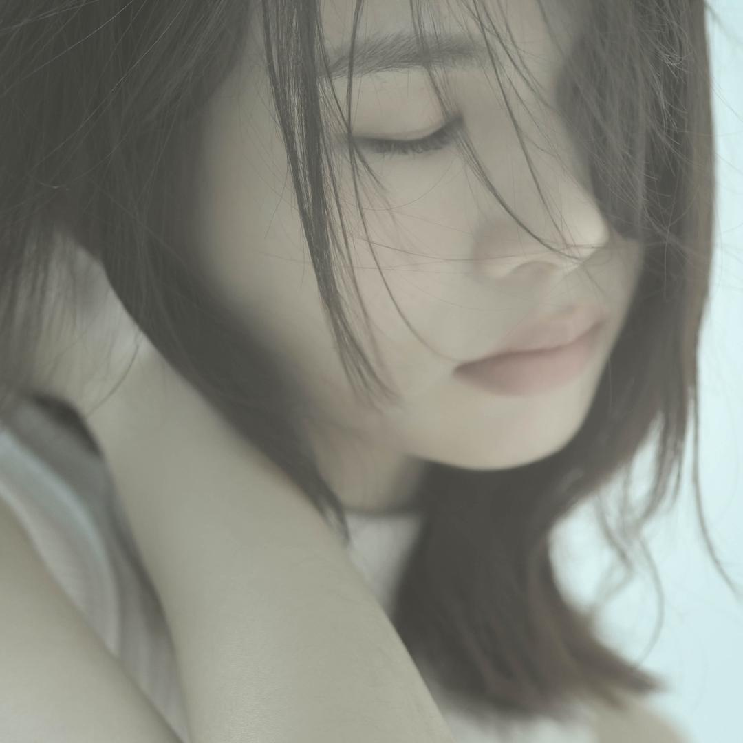 白兰鸽日记