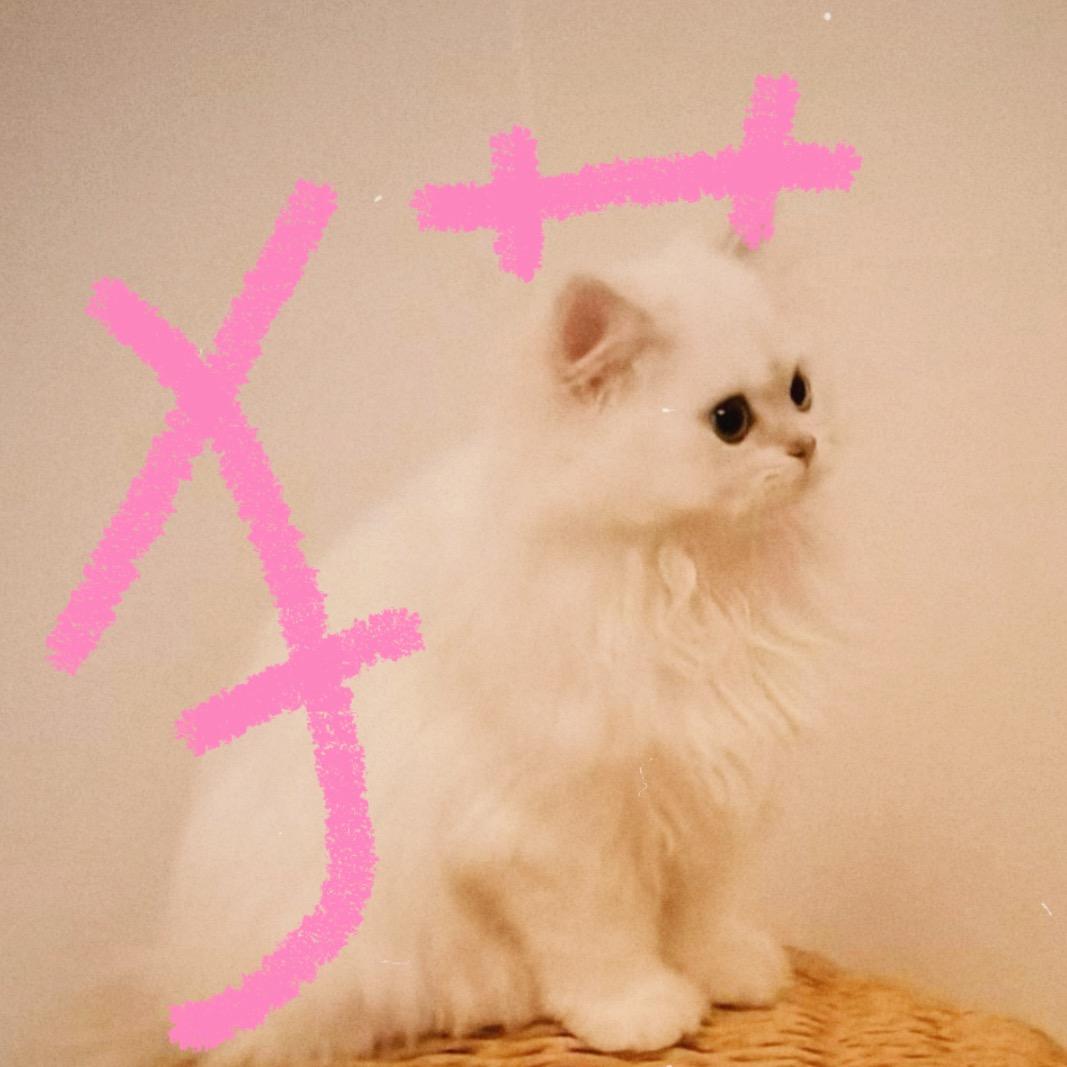 hello泡芙