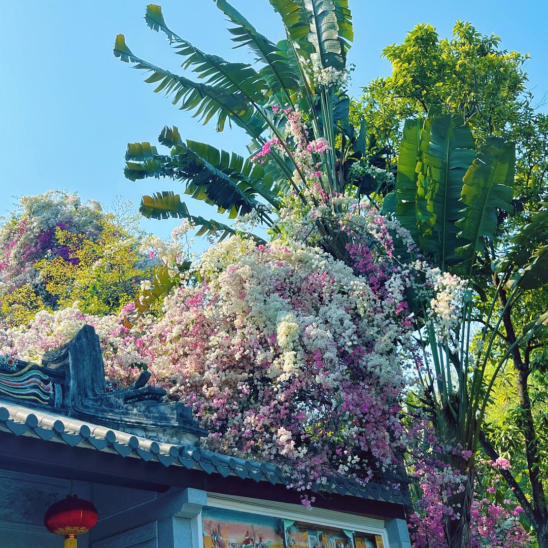 🌈 Good  lucky🌈