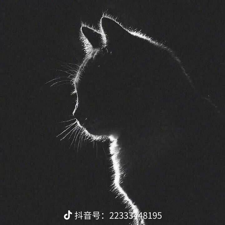 육문