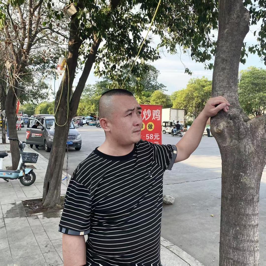 大毛蛋