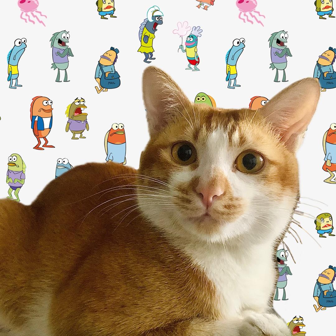 *\(^o^)/*一只啊晔