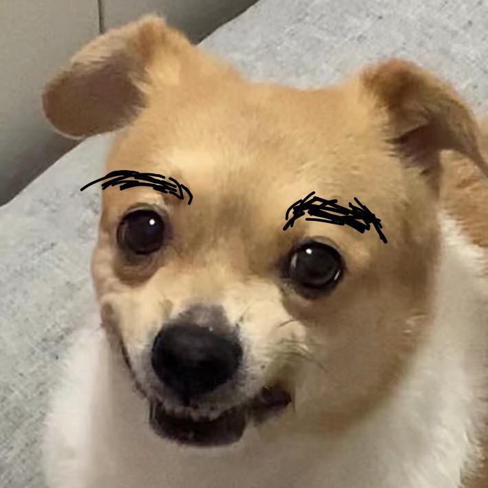 你雪蟹个腿儿