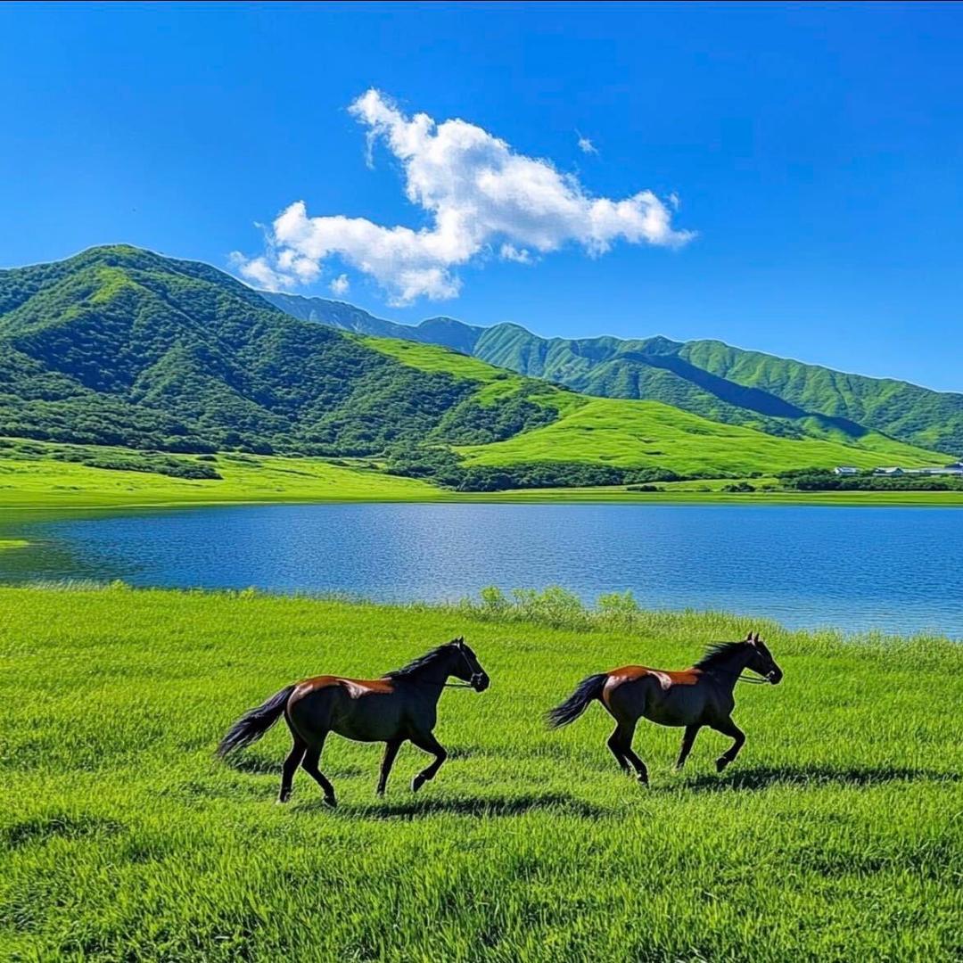何往不利