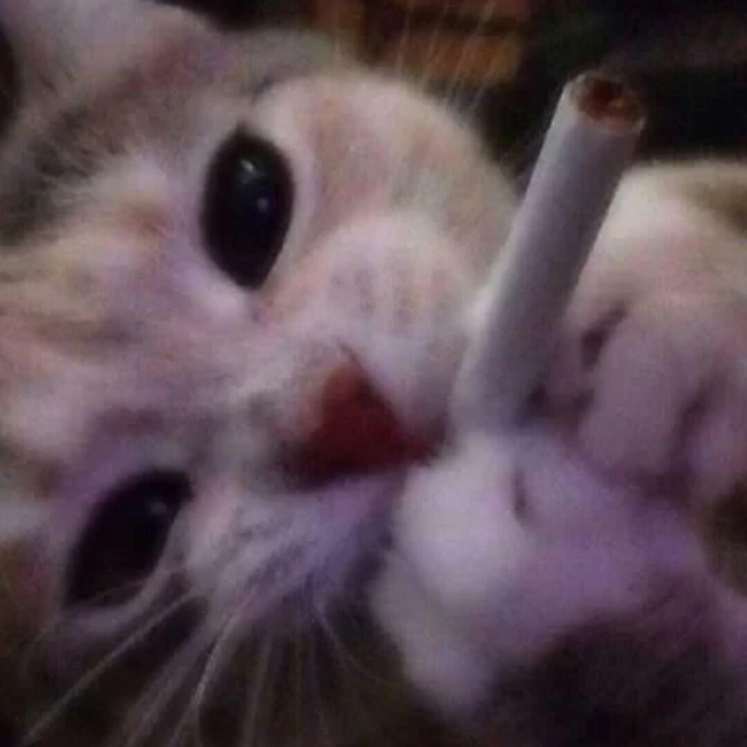 拜托少吃一点