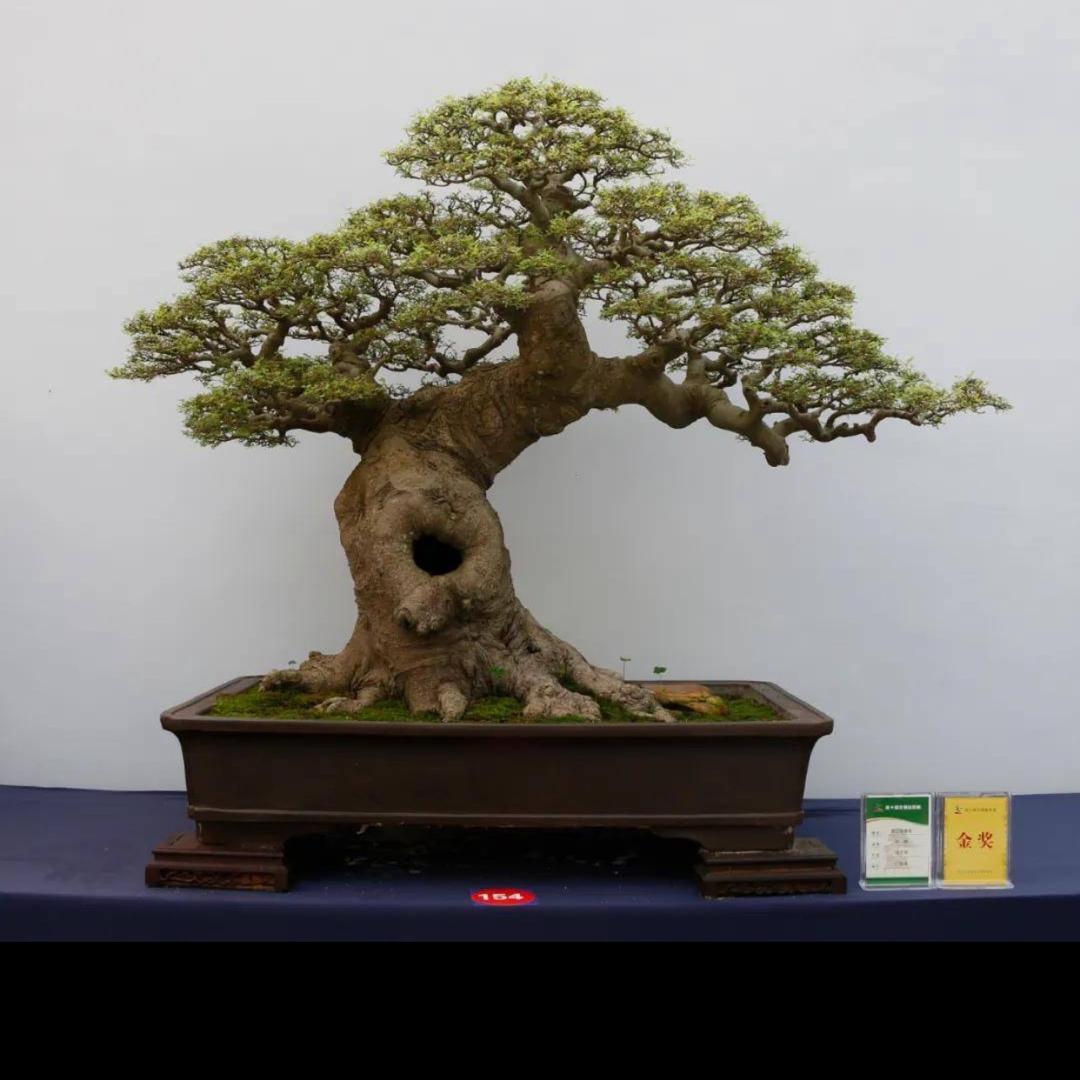 领悟