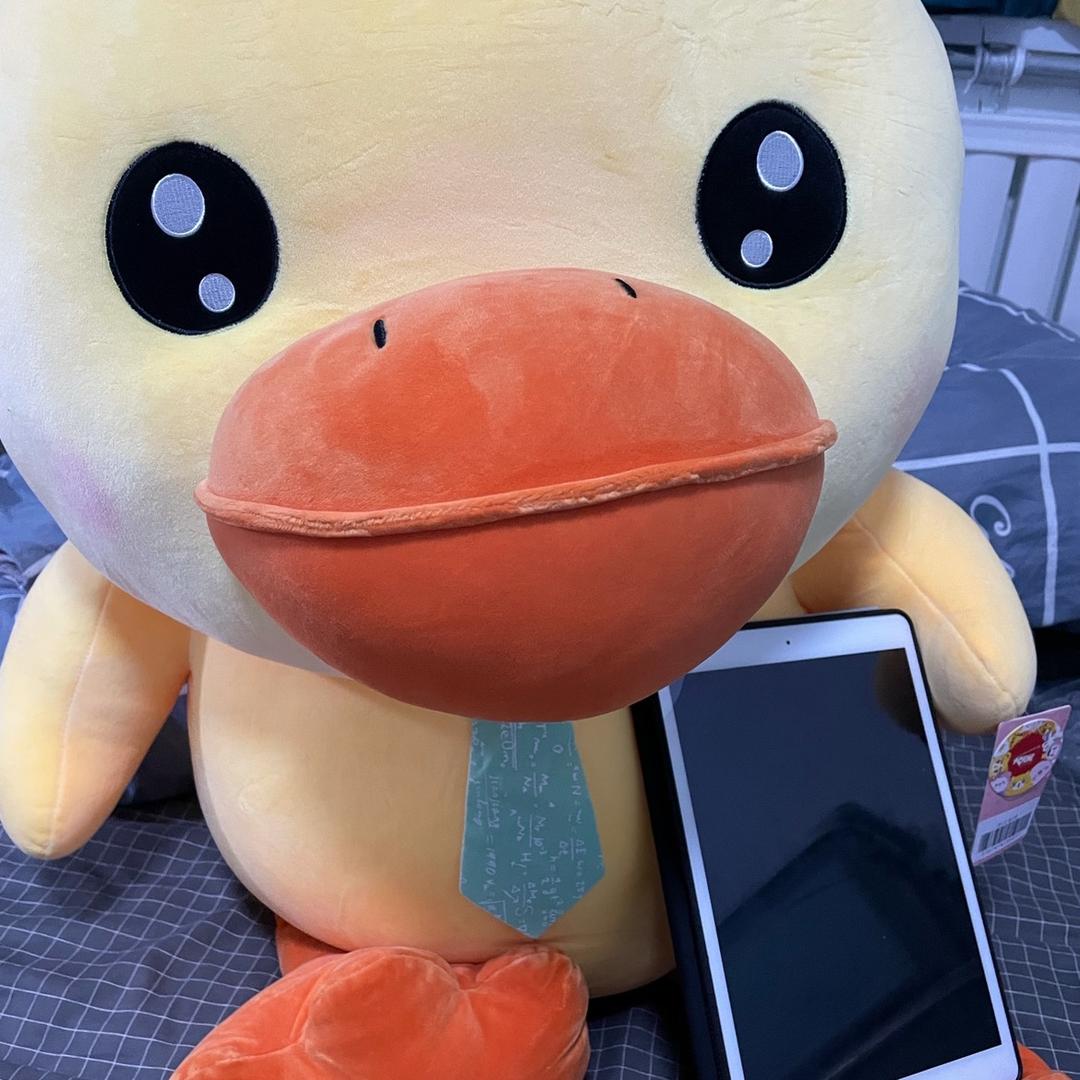 发发可爱的皮燕子