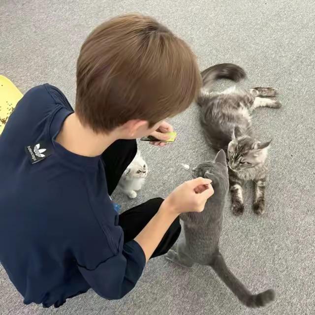 愤怒的老实人