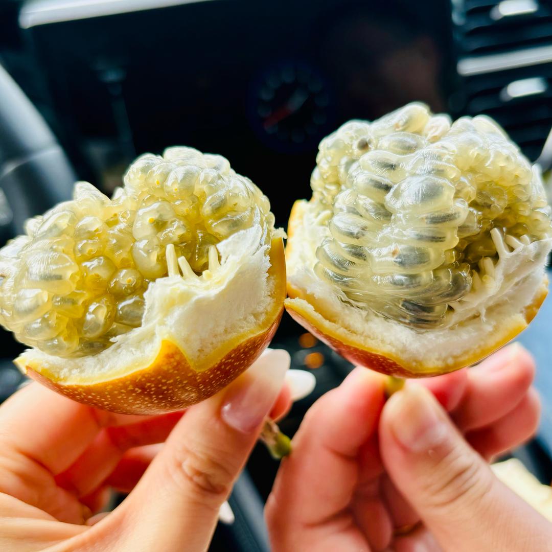 幸福冒泡汽水君