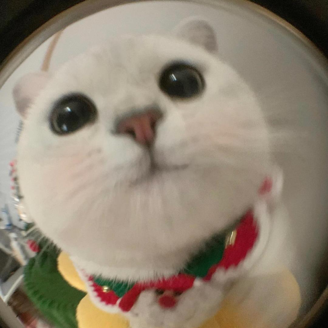 苜蓿