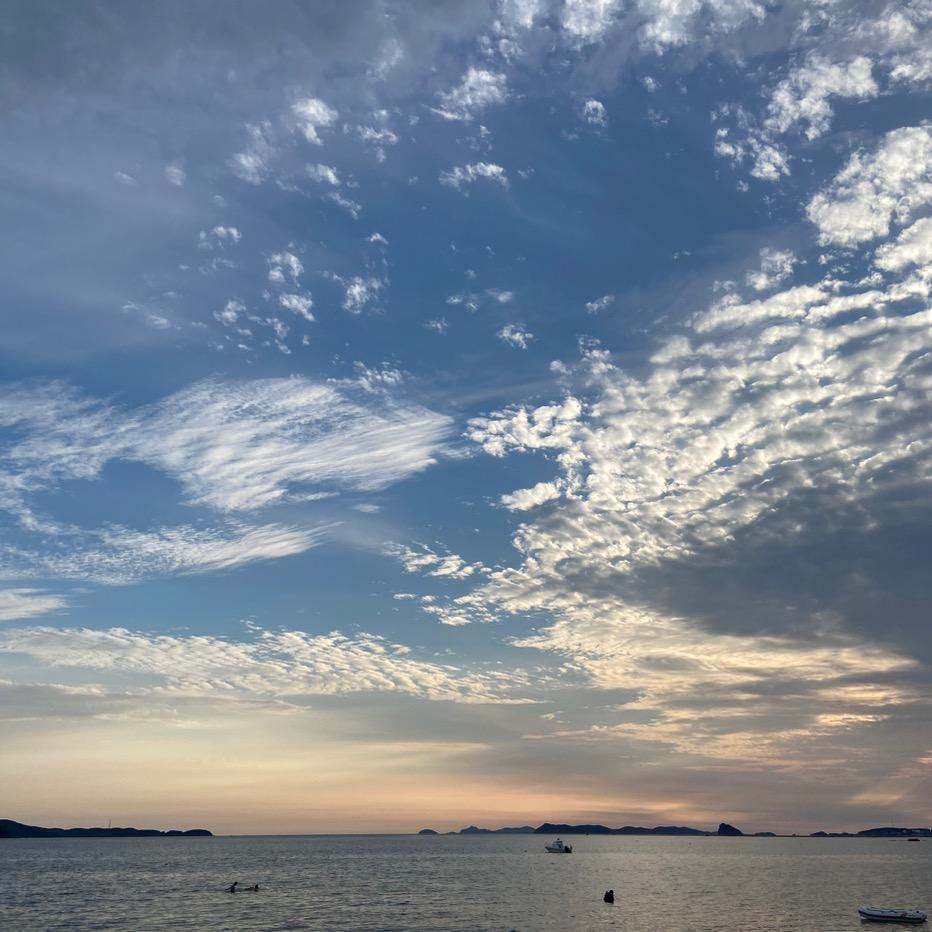 仲夏大鹏