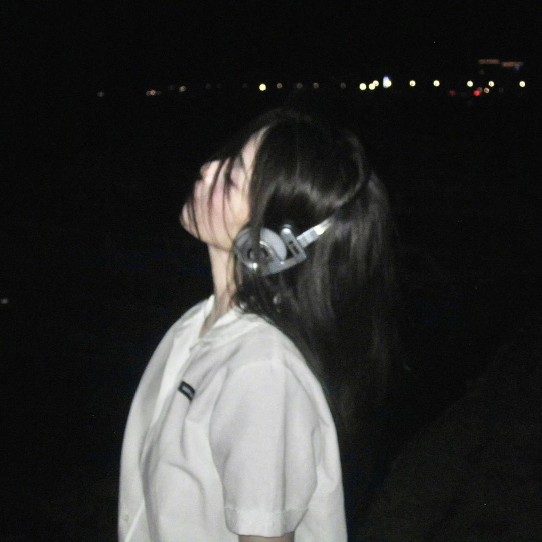 菠萝狮子头🌾