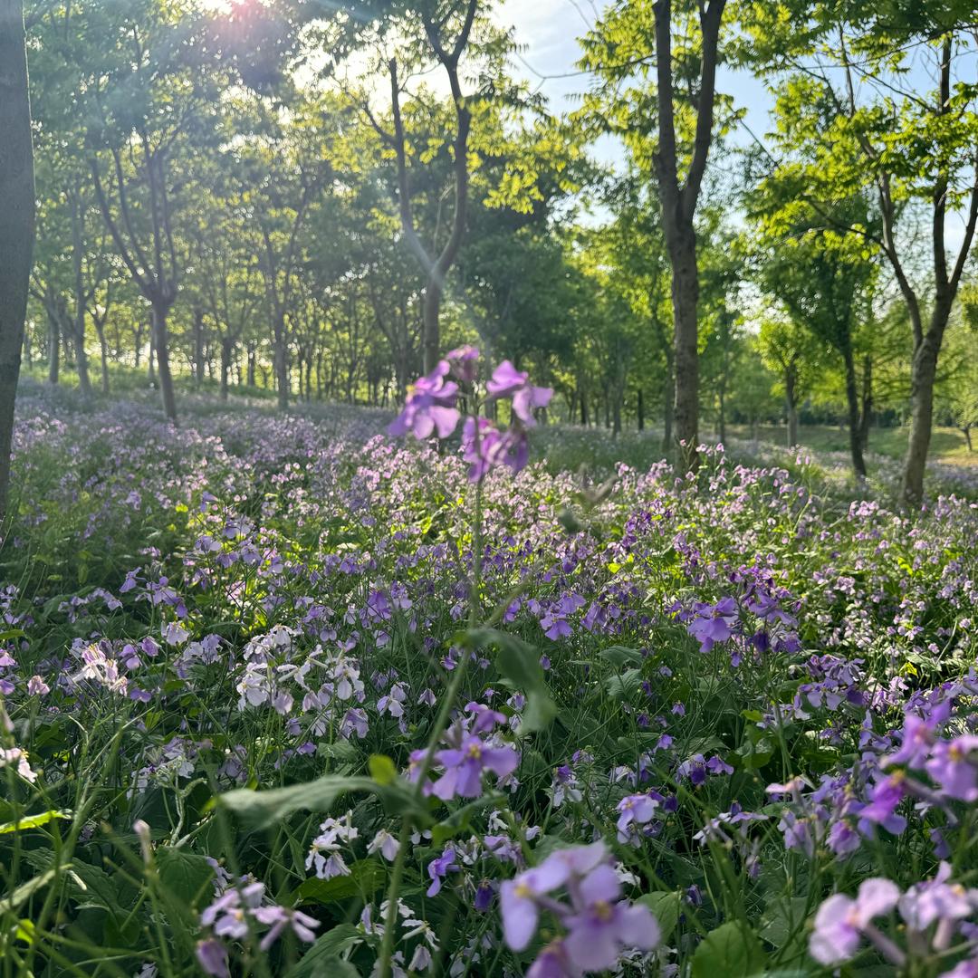 此号已注销，不再使用