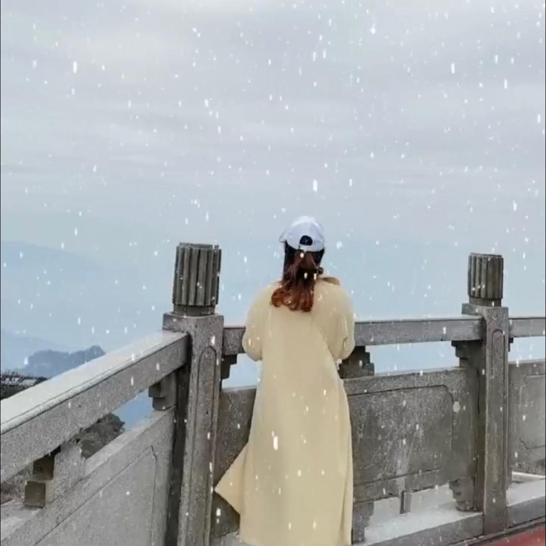 楚婕儿DAYTOY