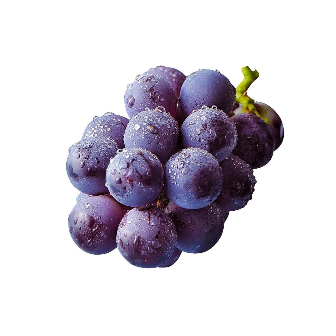 葡萄