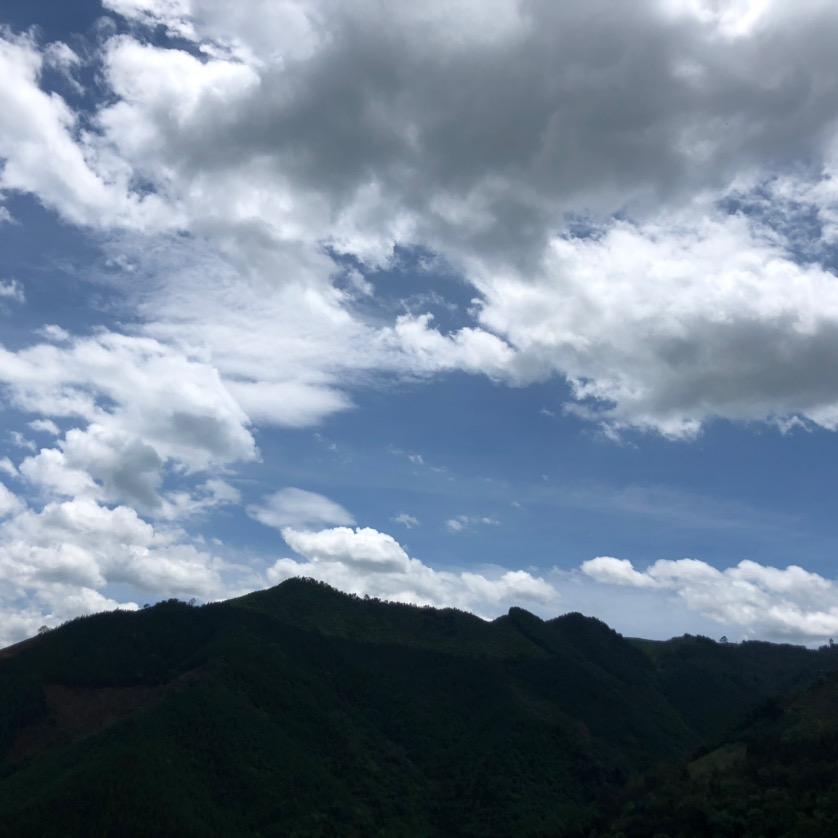 凌凌