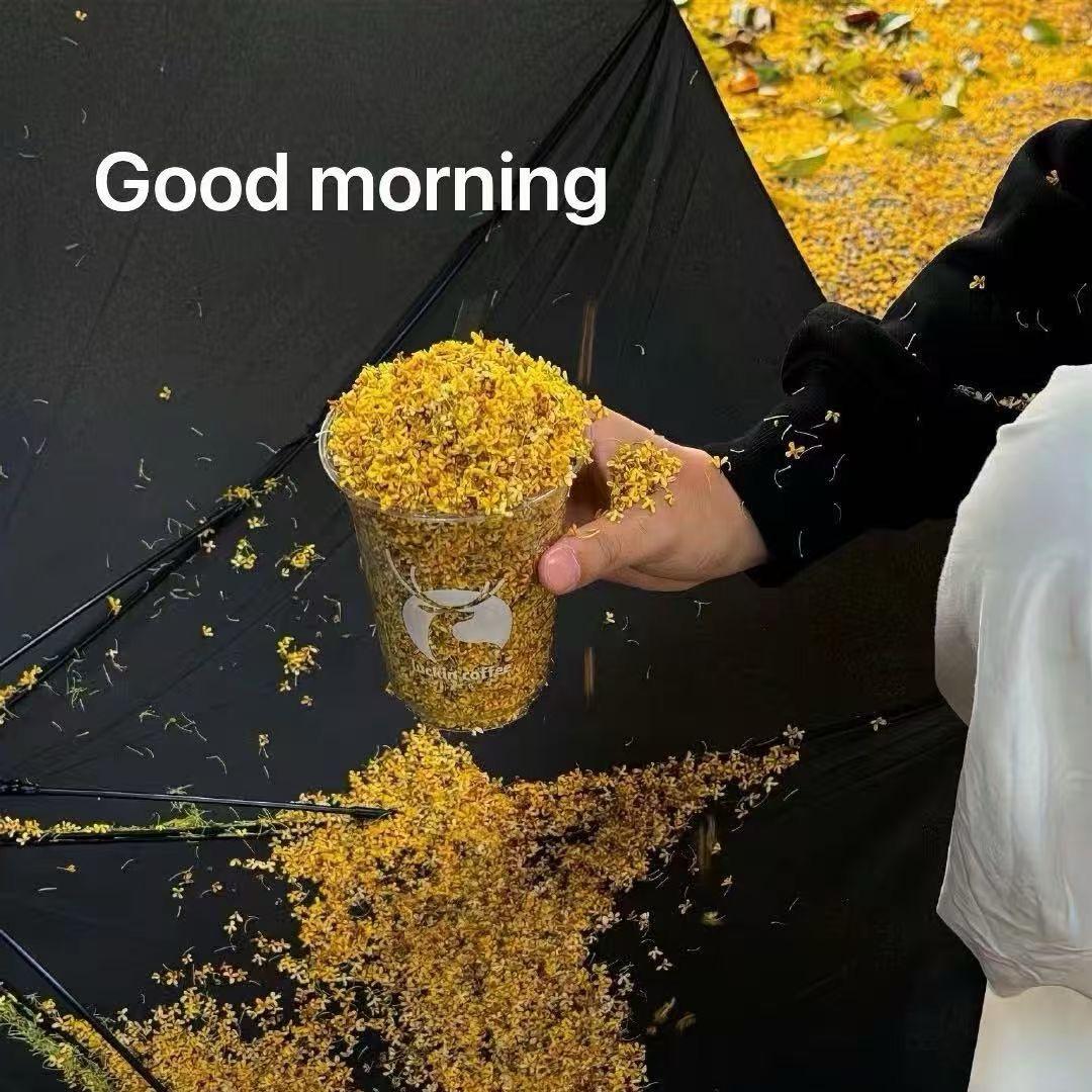 張～