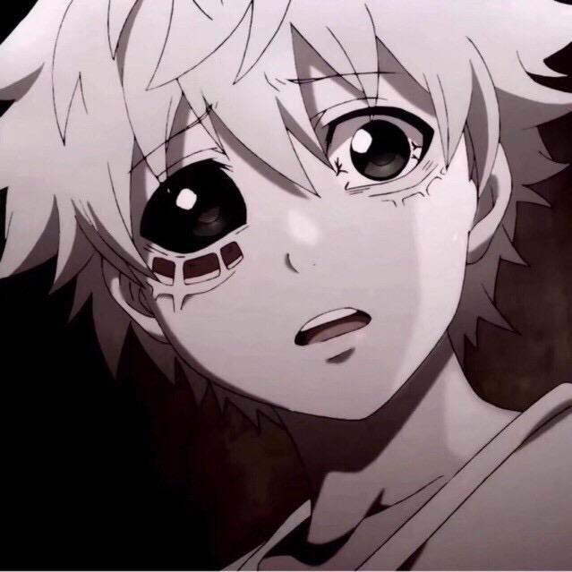 不是仙子的小兰✨