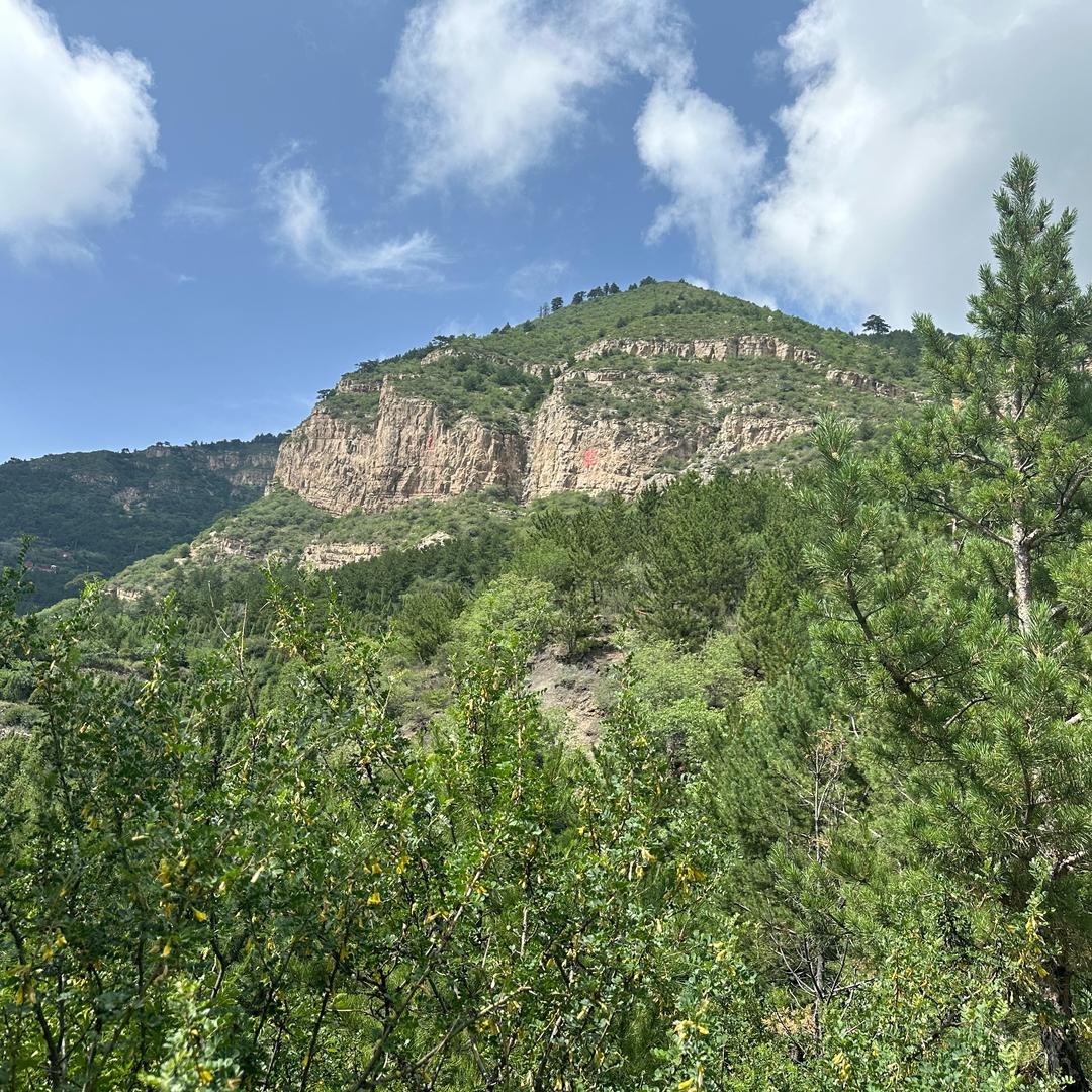 肥肥登山