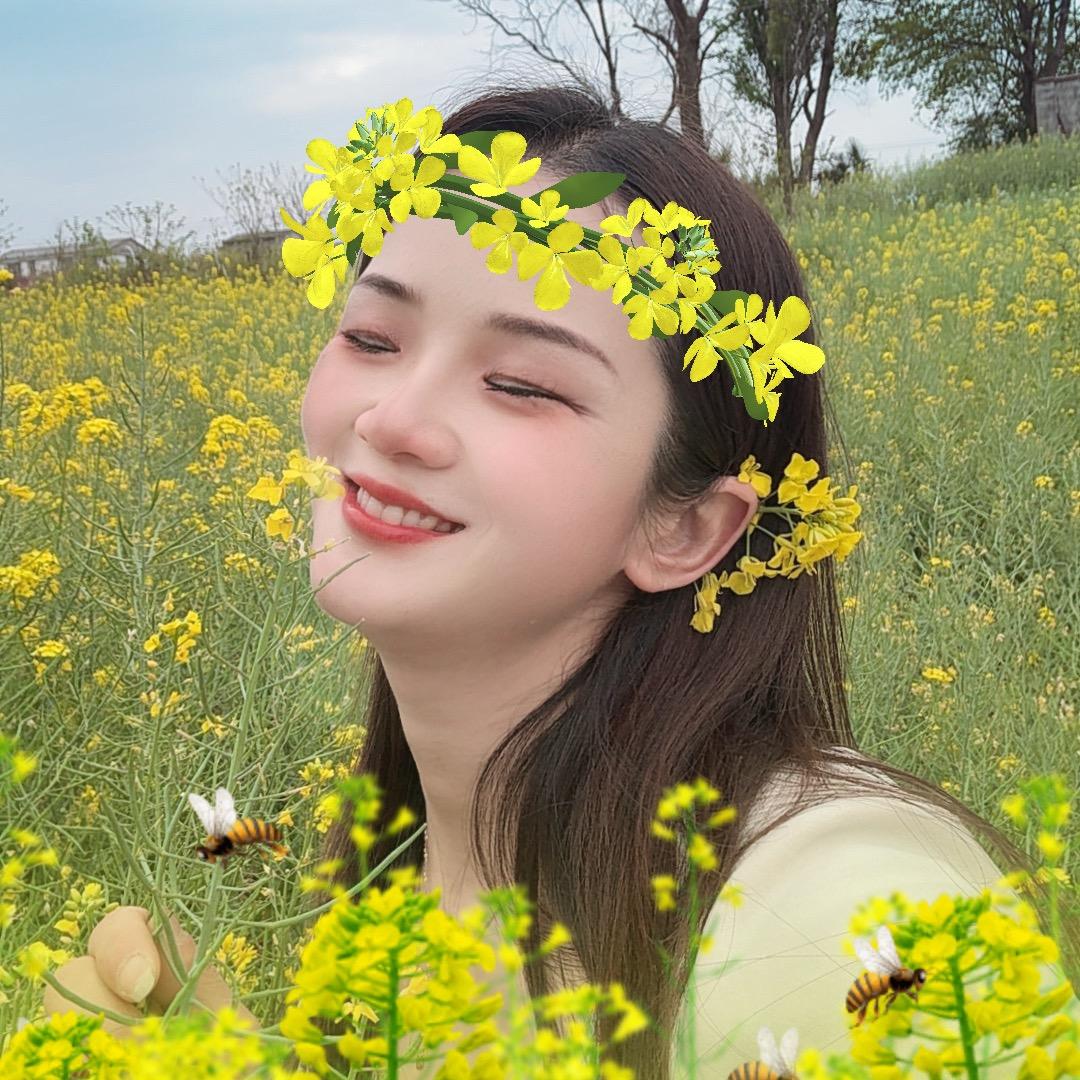 丁姑娘🌸