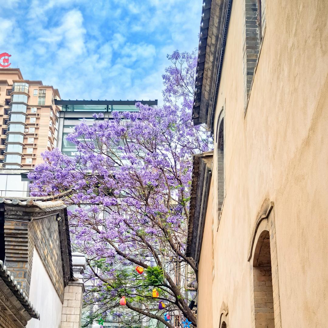 文文的搬砖星球🌎