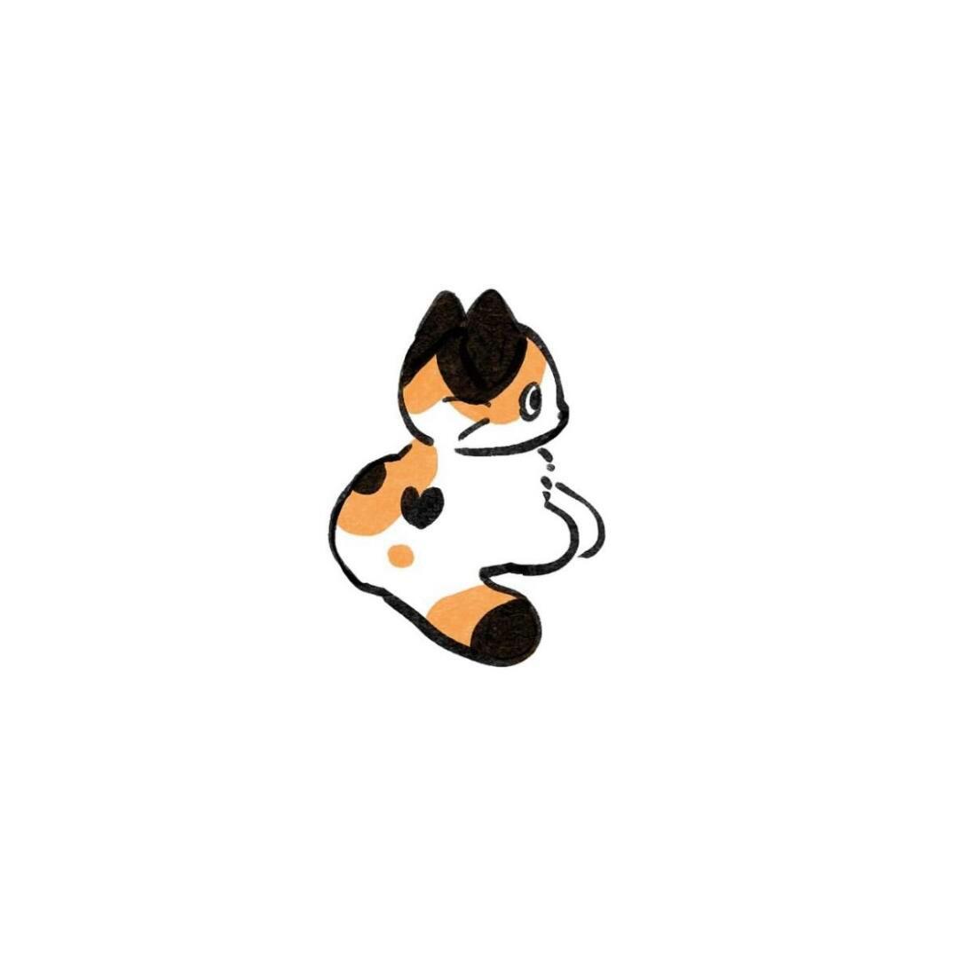 冬月梨猫
