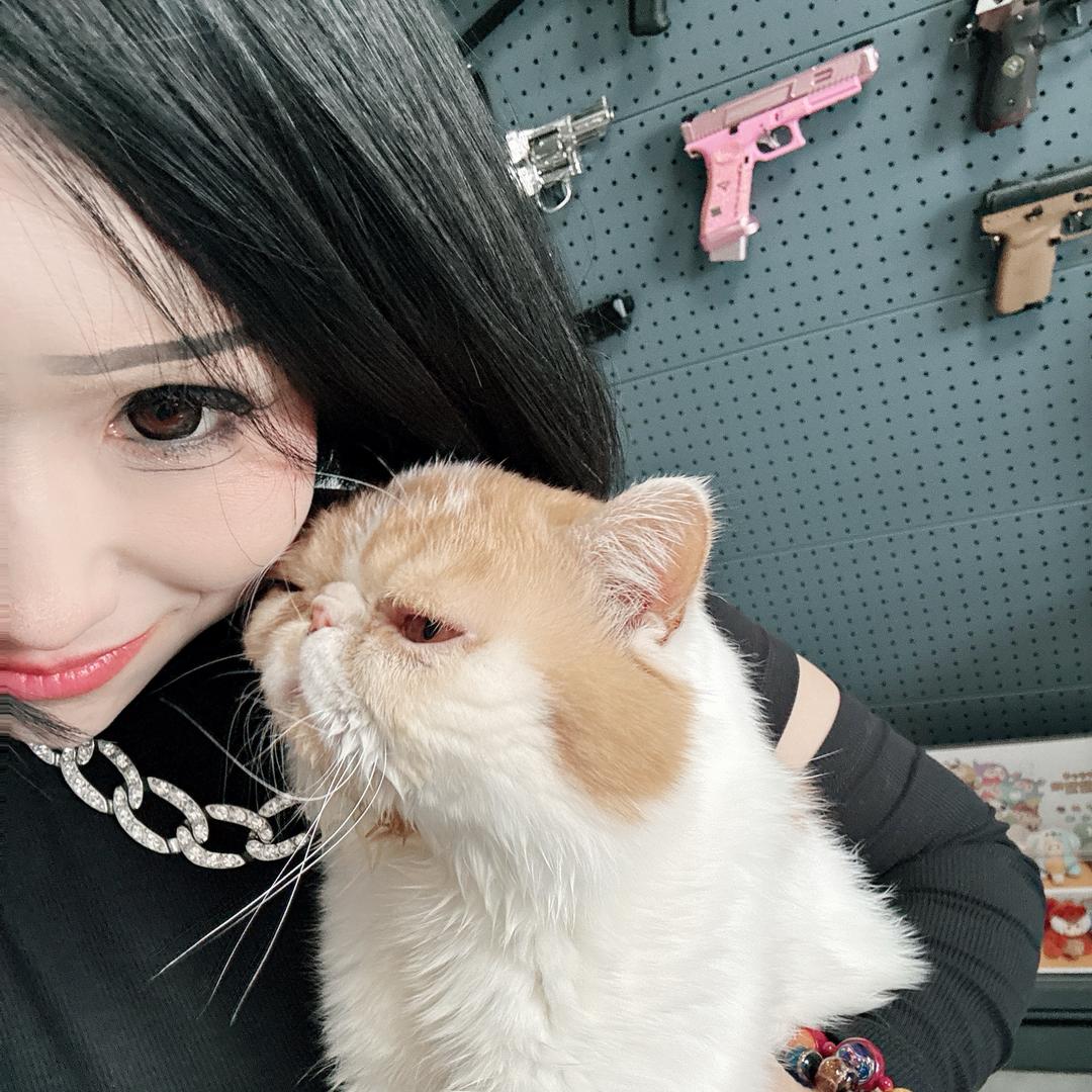 洋羊🐑