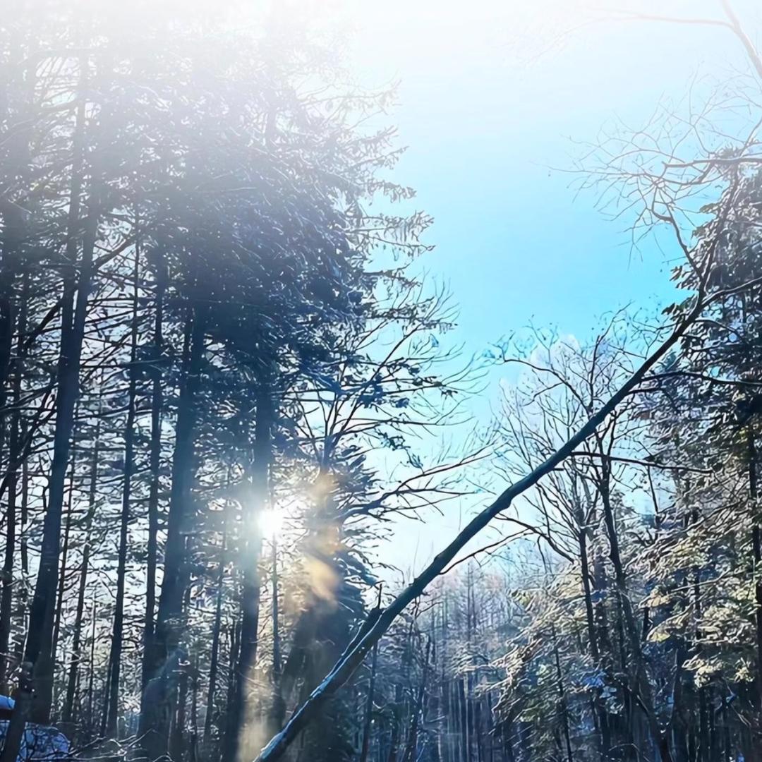 桃花源一一琦琦