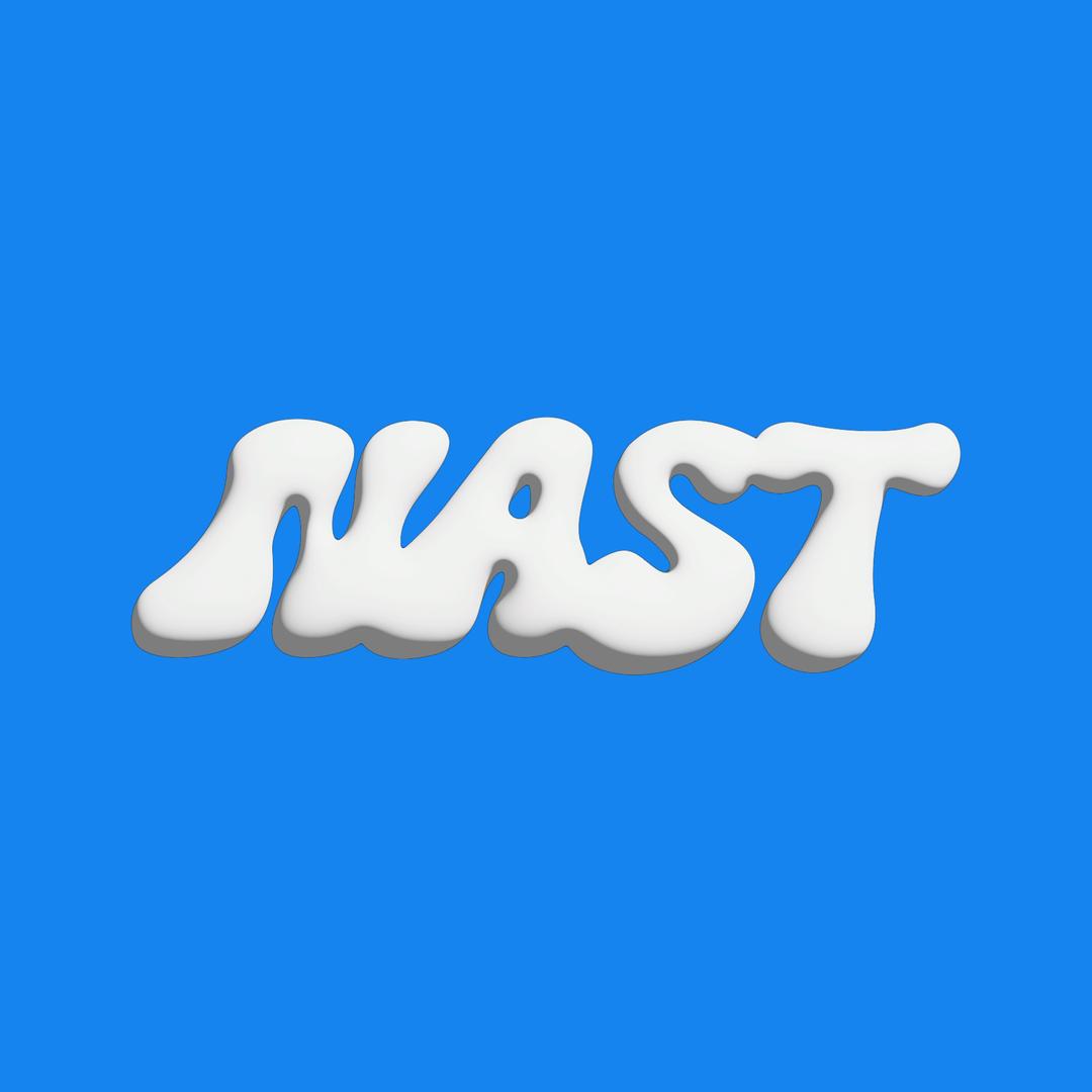 耐施NAST