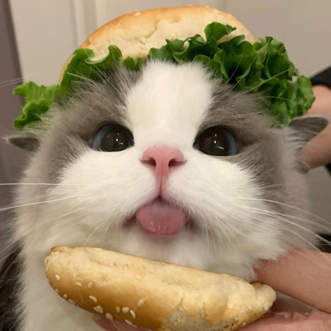 ^困了就睡^𝙯ᙆ