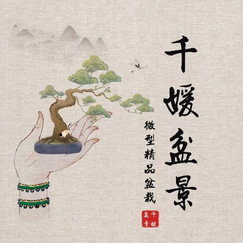 千媛微型盆景