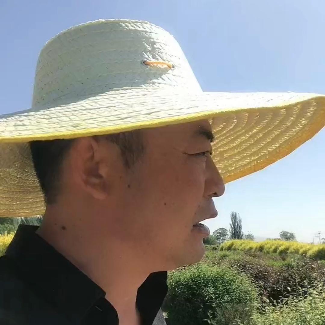 孙掌柜—宁夏昊泽绿业