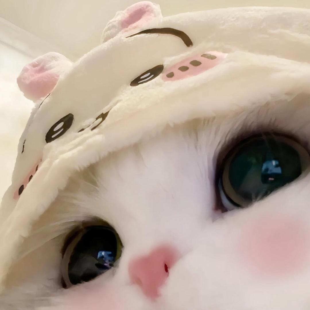 绝绝子