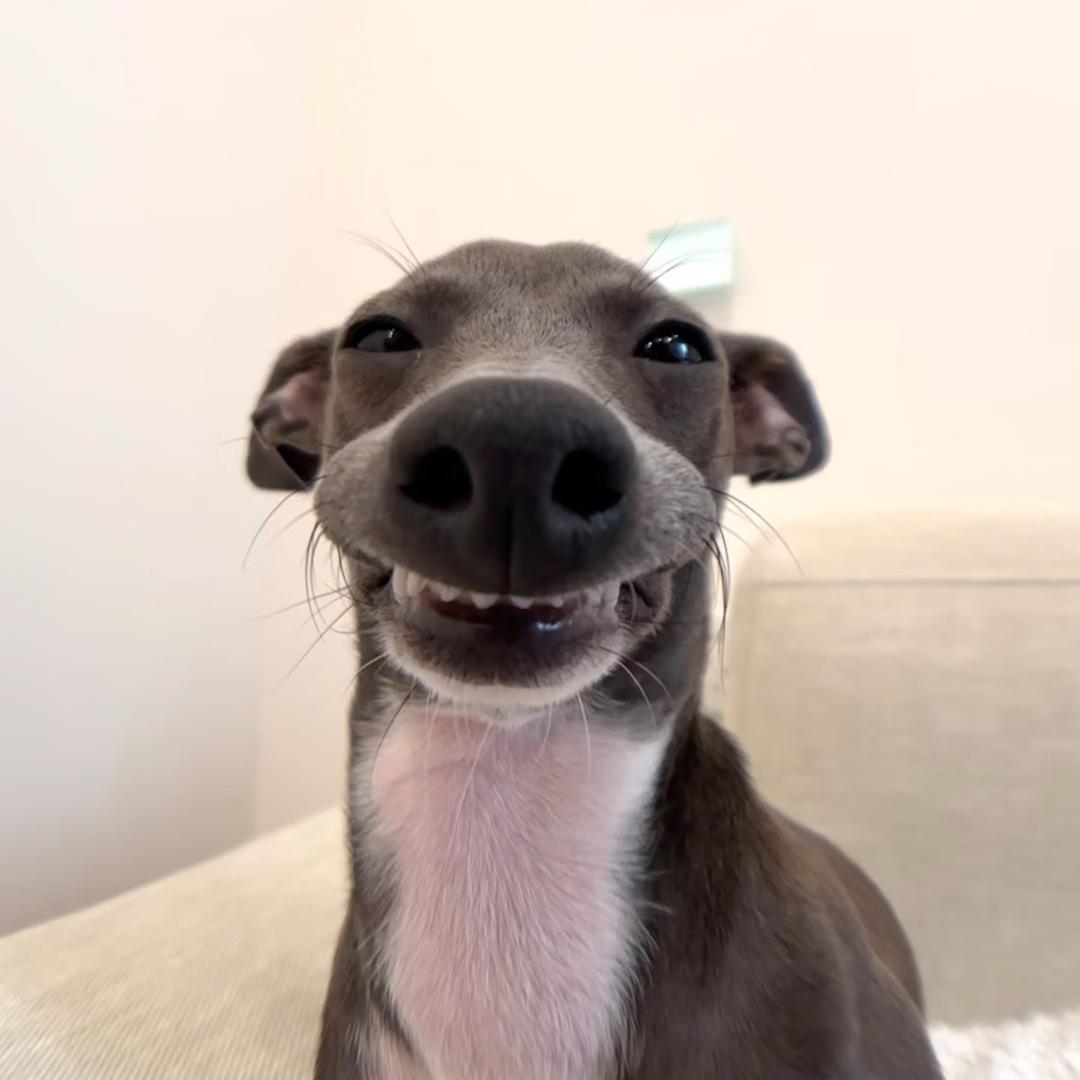 欣同学_